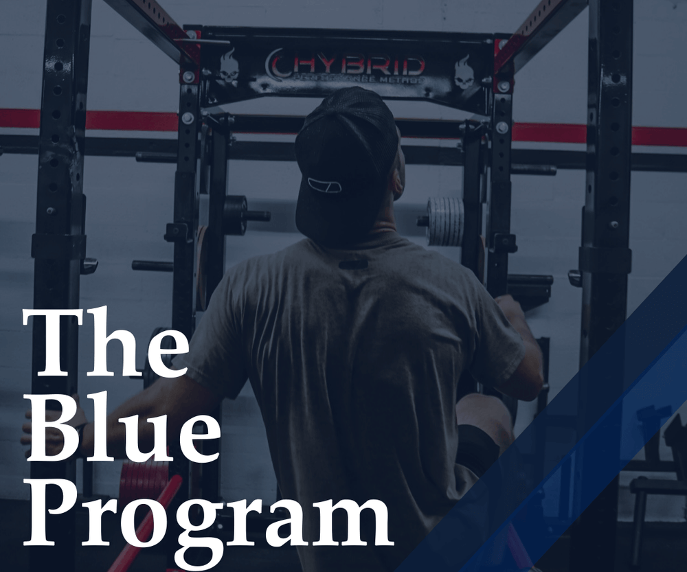 The Blue Program